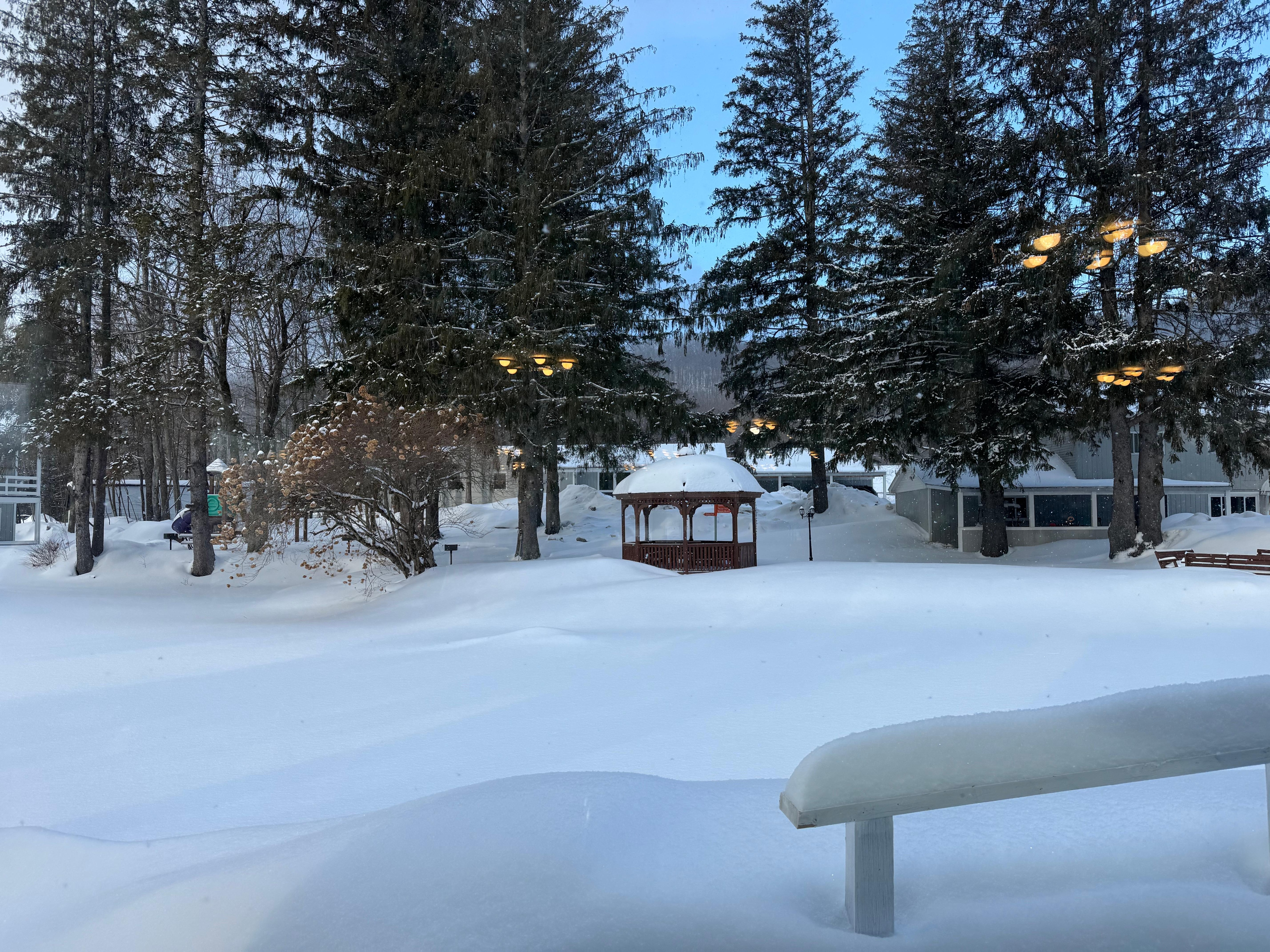 View of hotel grounds from breakfast 