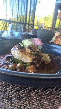 Mahi mahi lunch at Akkat