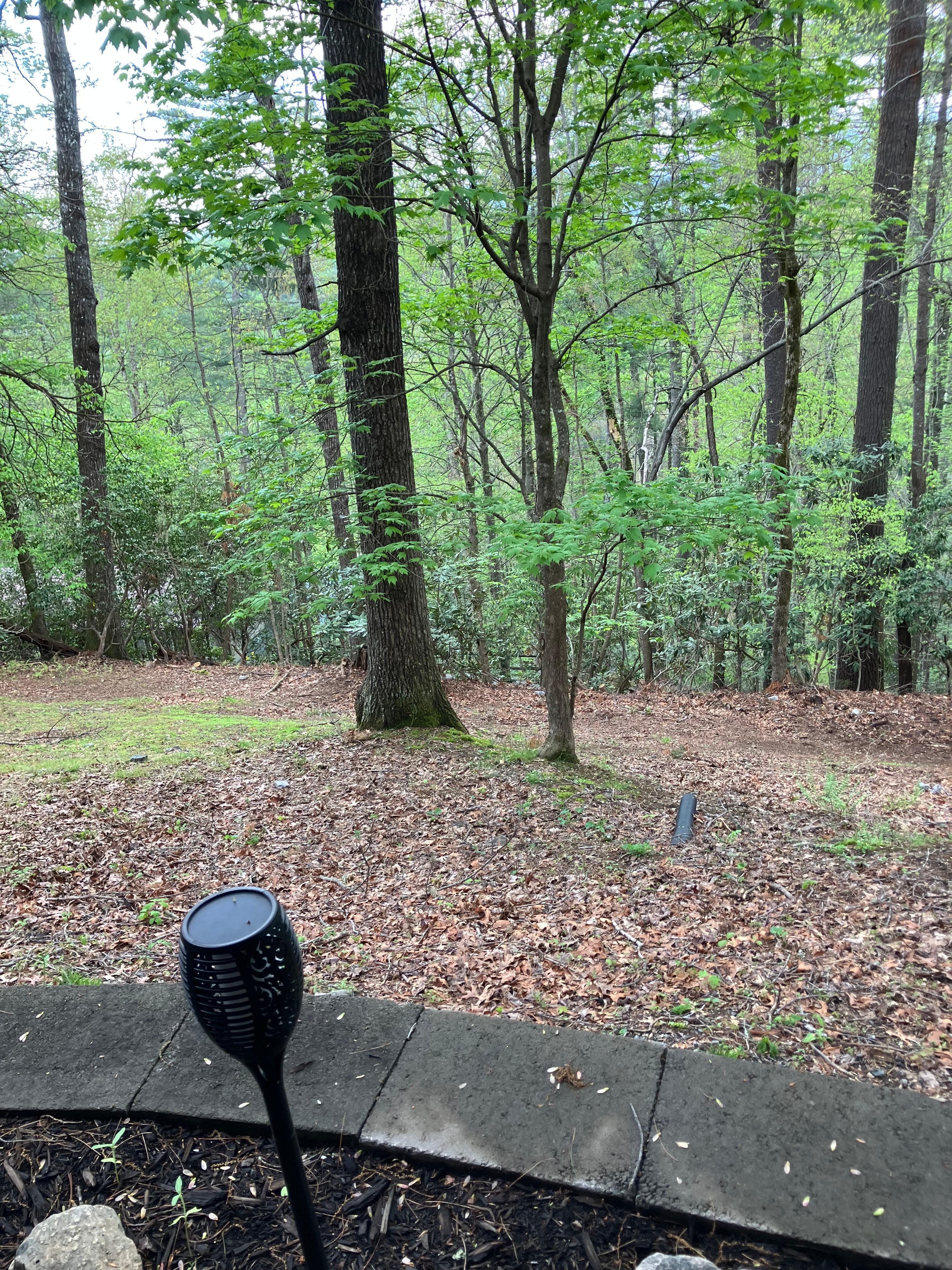 So quiet and peaceful.
