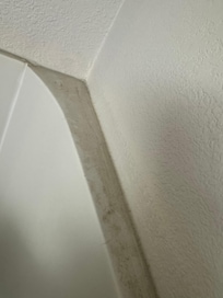 Dust and hair on the shower rail