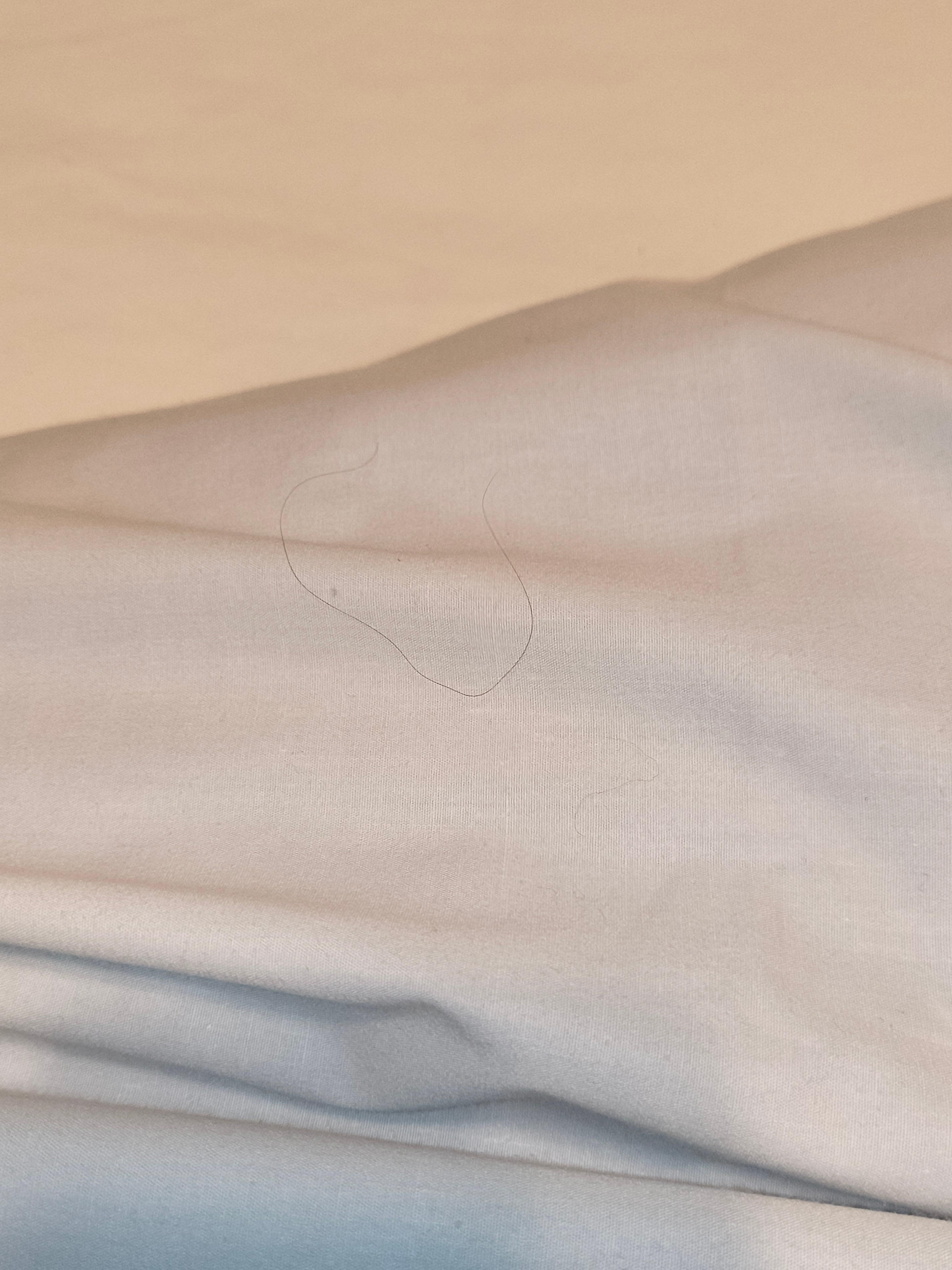 More hair throughout the bed. Has to remove all linen and wash them