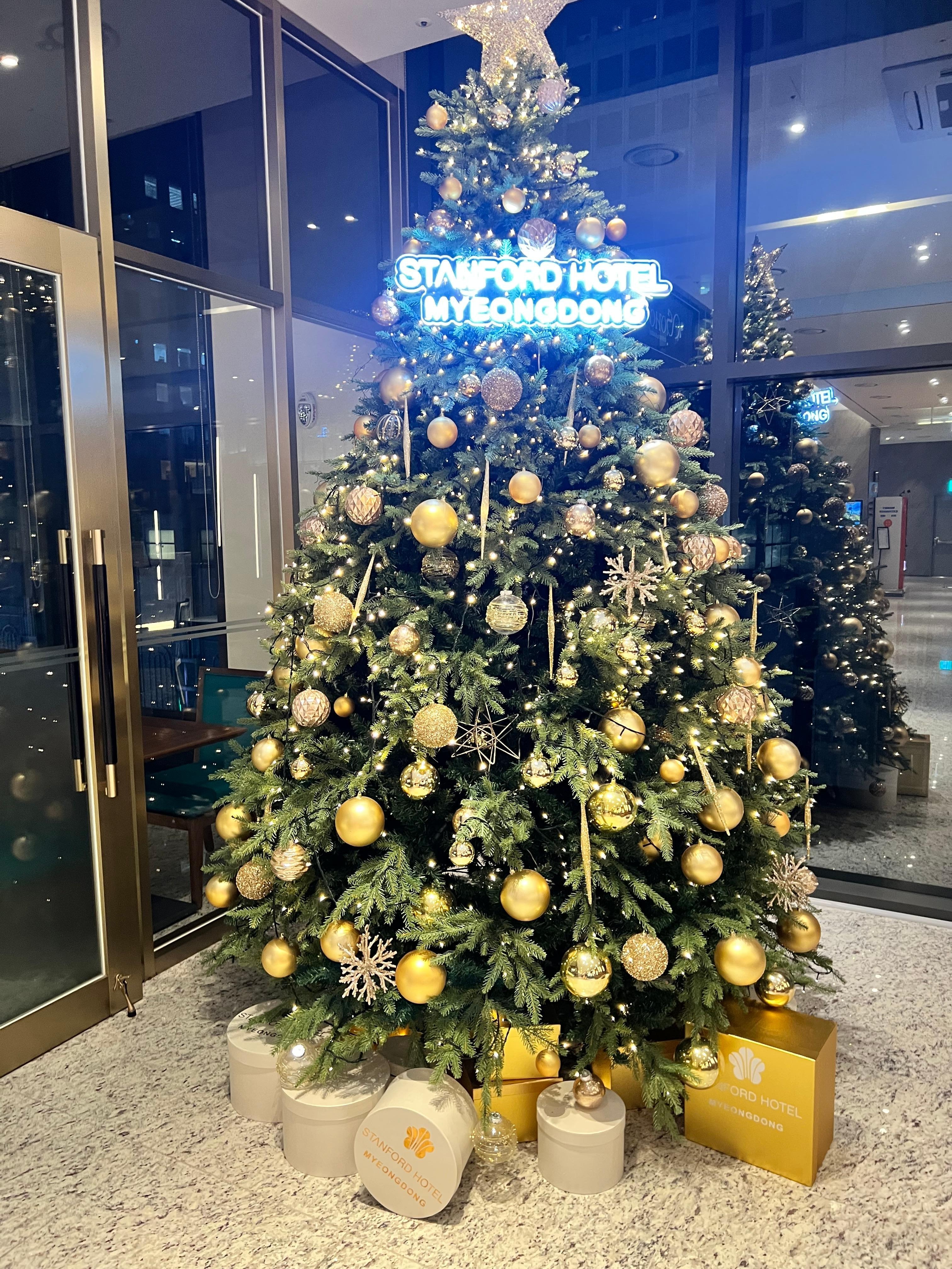 Lobby still had their Christmas tree up :)