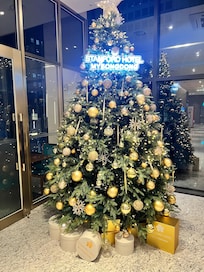 Lobby still had their Christmas tree up :)