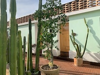 Top floor