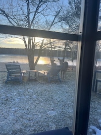 Deer sighting was sooooo exciting!!