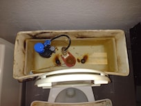 Moldy toilet tank.