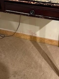 dirty carpet and mold