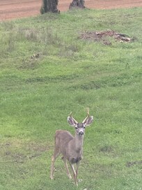 He saw me enjoying the early evening 😊