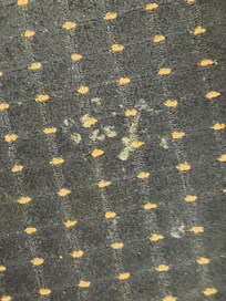 Stains on the carpet. I don't want to know what it is