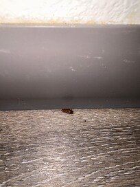 This was behind trash can of the second room