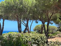 Vue de la terrasse
