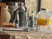 Lézard au petit déjeuner
