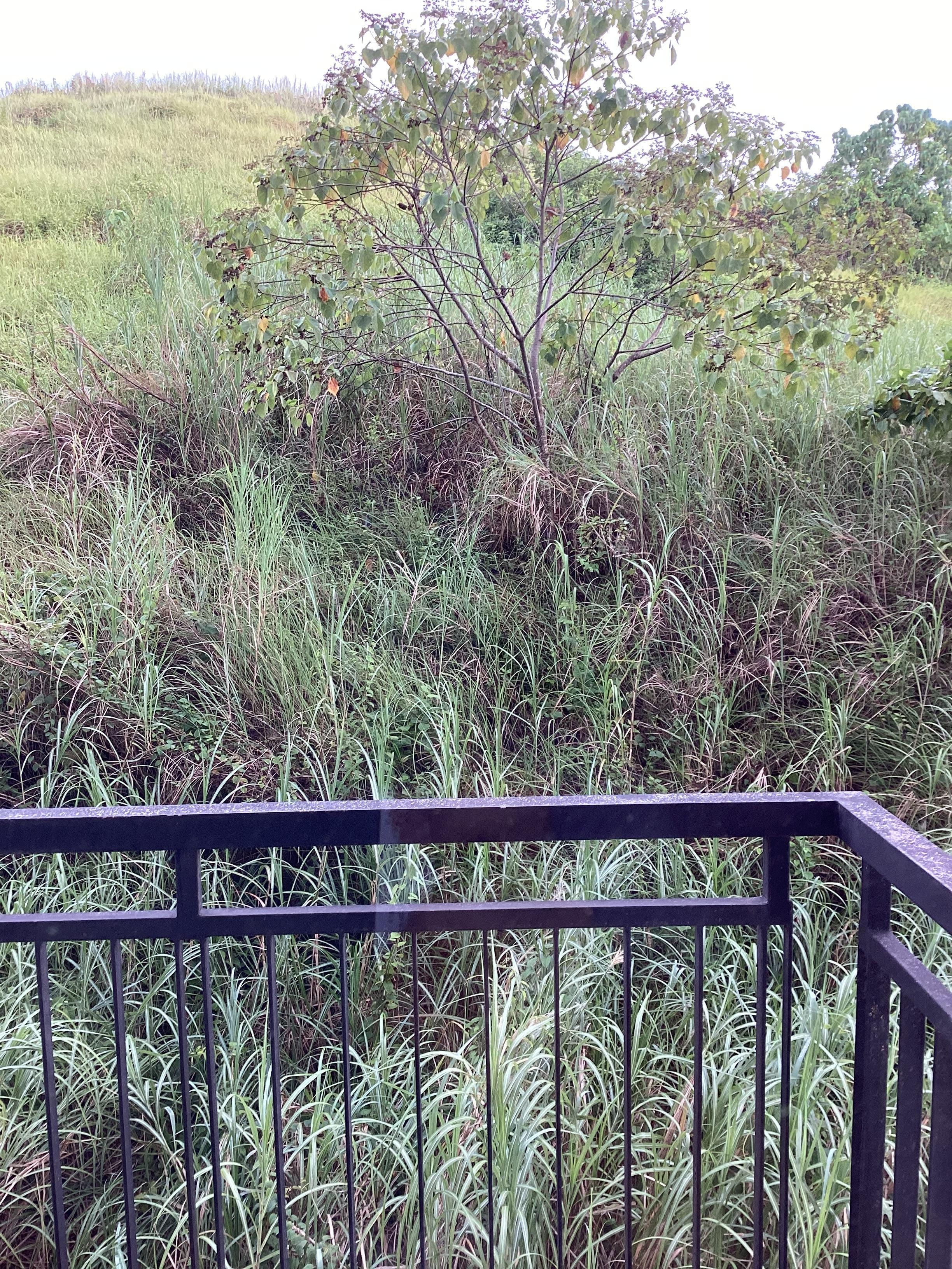 I enjoyed the rustic view and fresh air from the balcony every morning.