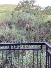 I enjoyed the rustic view and fresh air from the balcony every morning.