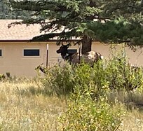 Just scouting the neighborhood. View from back patio.
