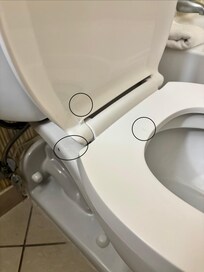 Hairs all over the toilet