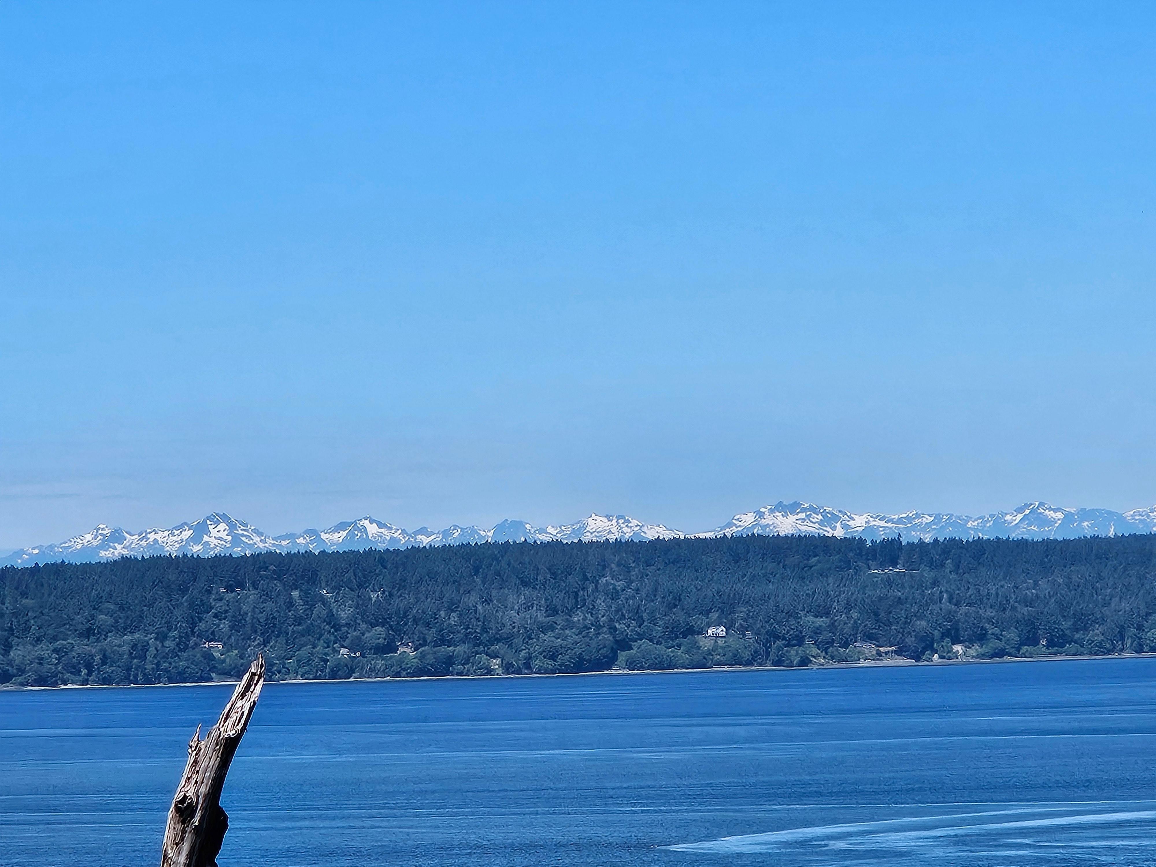 You can see the Olympic Mountains across Puget Sound, in the distance!