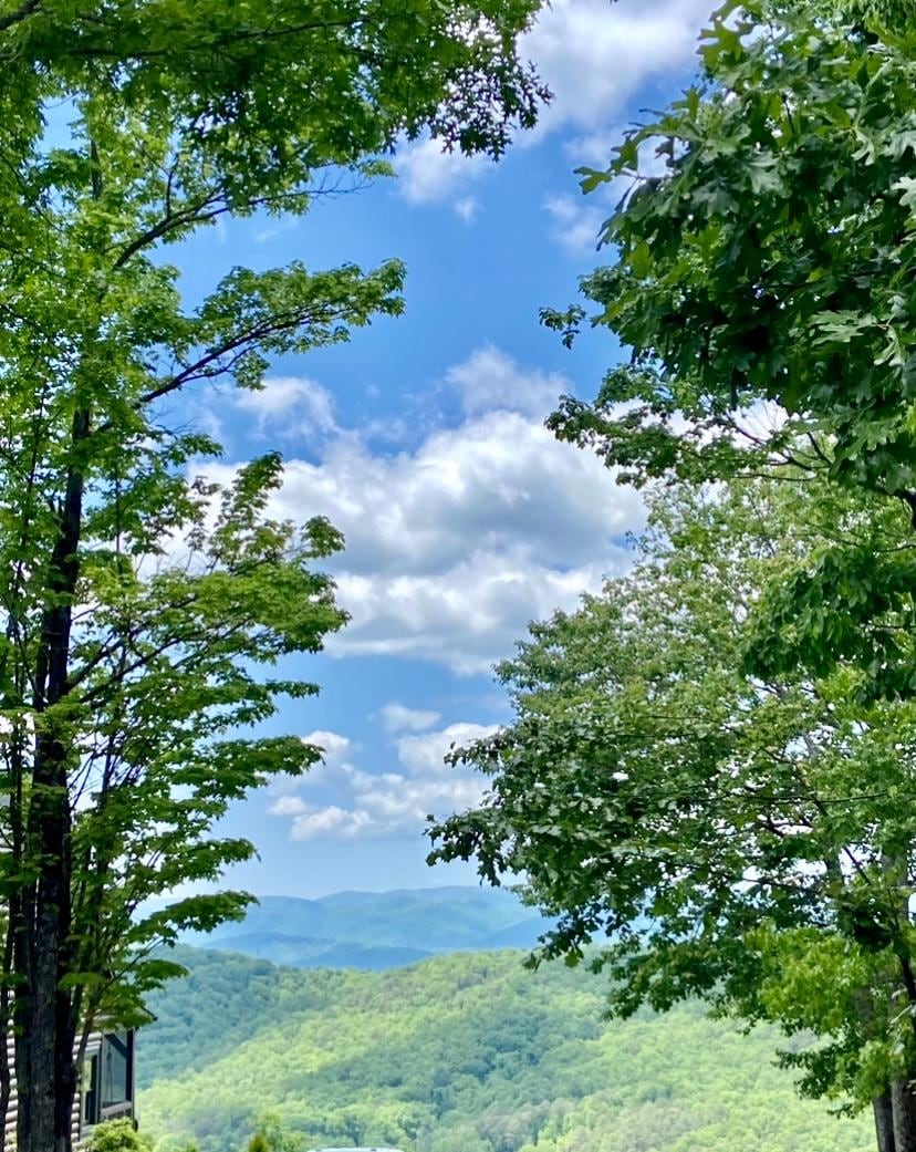 Views by the house