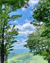 Views by the house