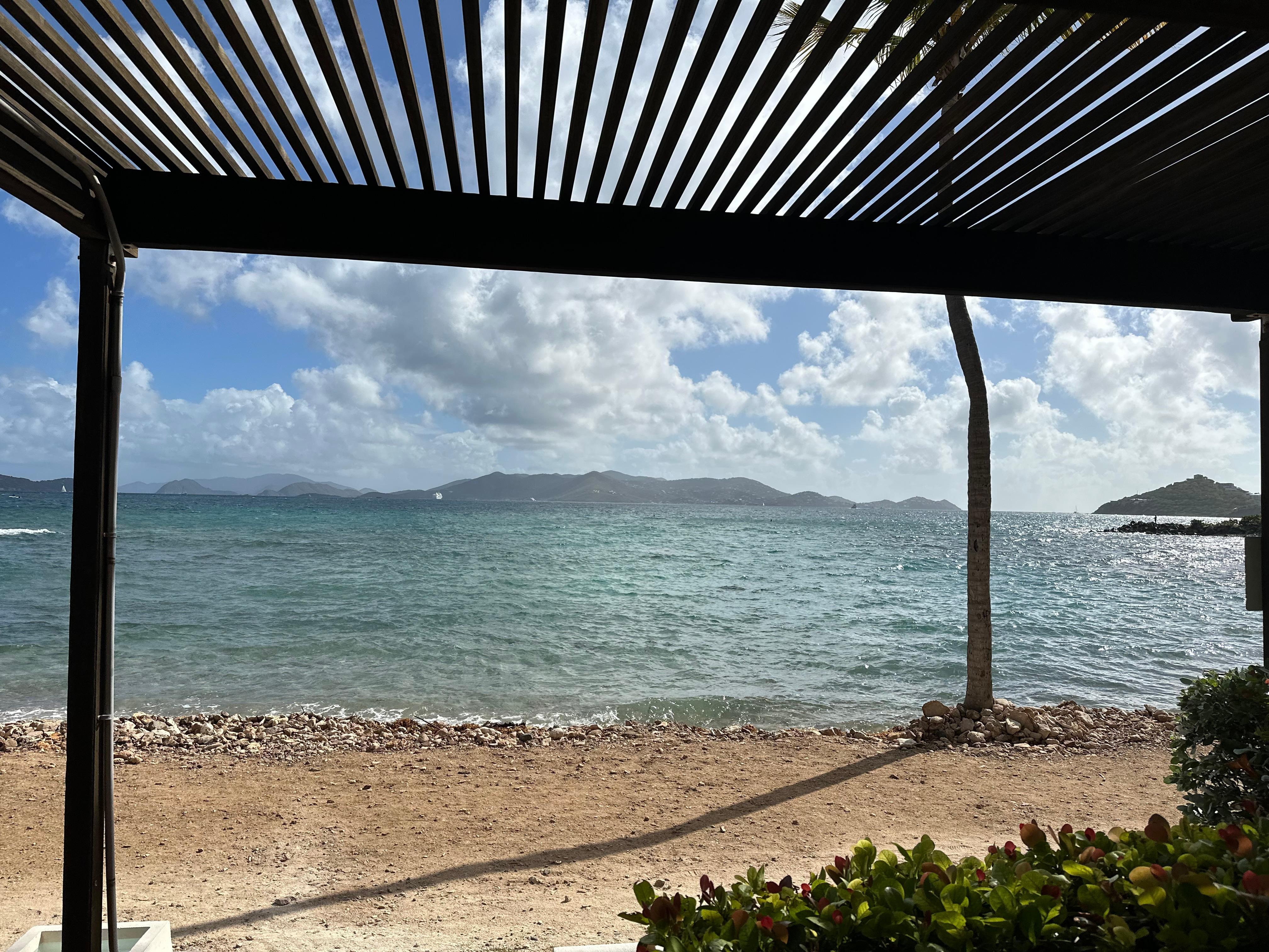 Enjoying the view from the back porch. 