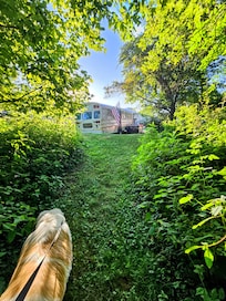 Path behind the bus.