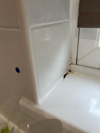 Mold