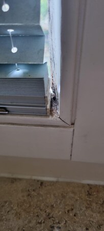 Fenster Schlafzimmer