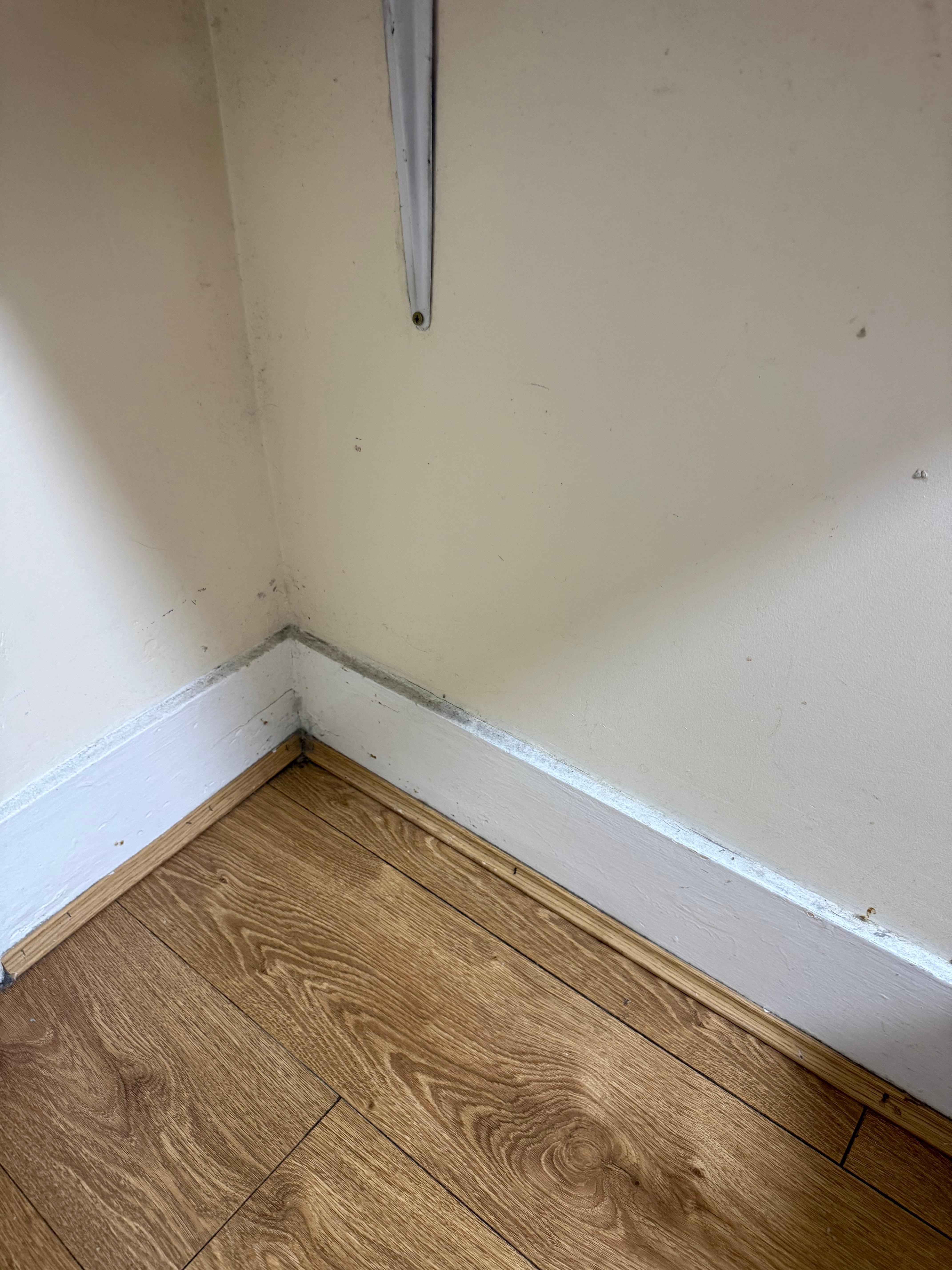 Filth and mould on the trim