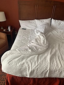 Bed is clearly made showing that we had just pulled back the cover and noticed the stain
