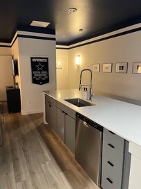 Sink & Dishwasher, cabinet