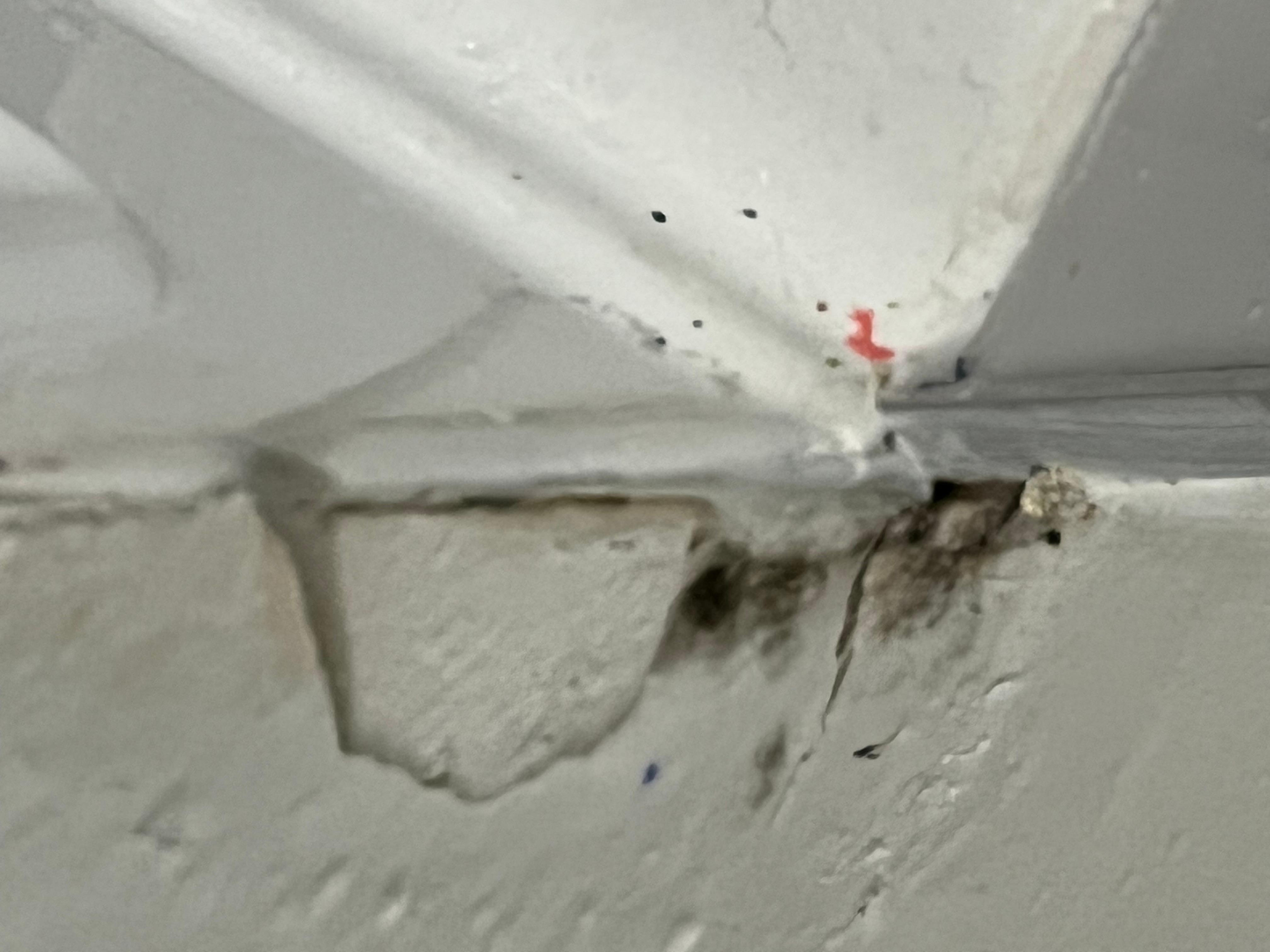 Moissie suf le mûre pas très bon pour la santé 