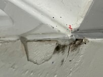 Moissie suf le mûre pas très bon pour la santé