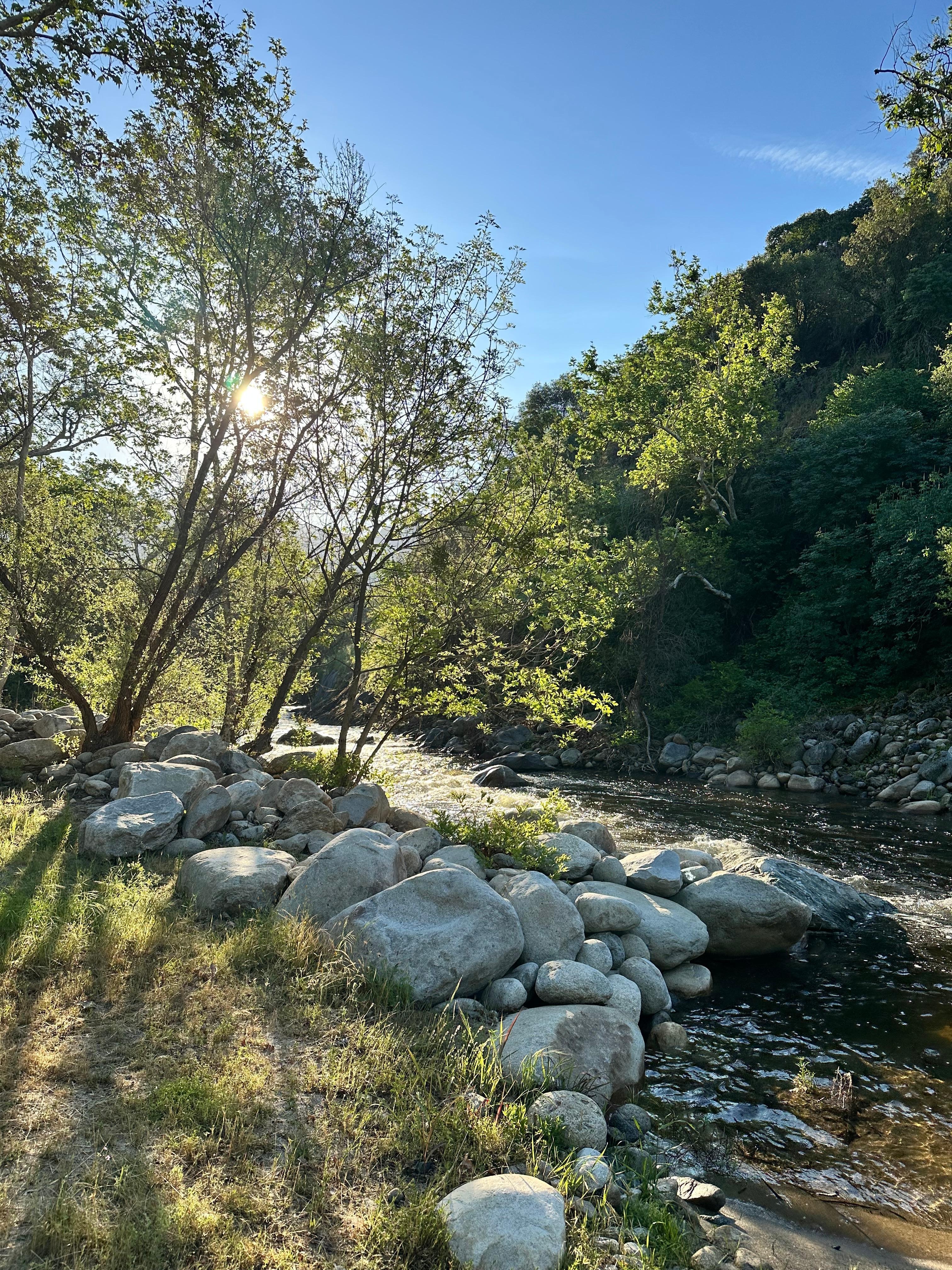 The river 