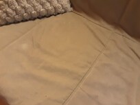 Die kleine Couch (Detail).