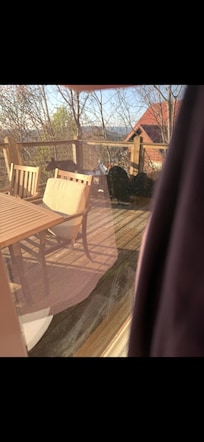 On the deck picking out which food they wanted