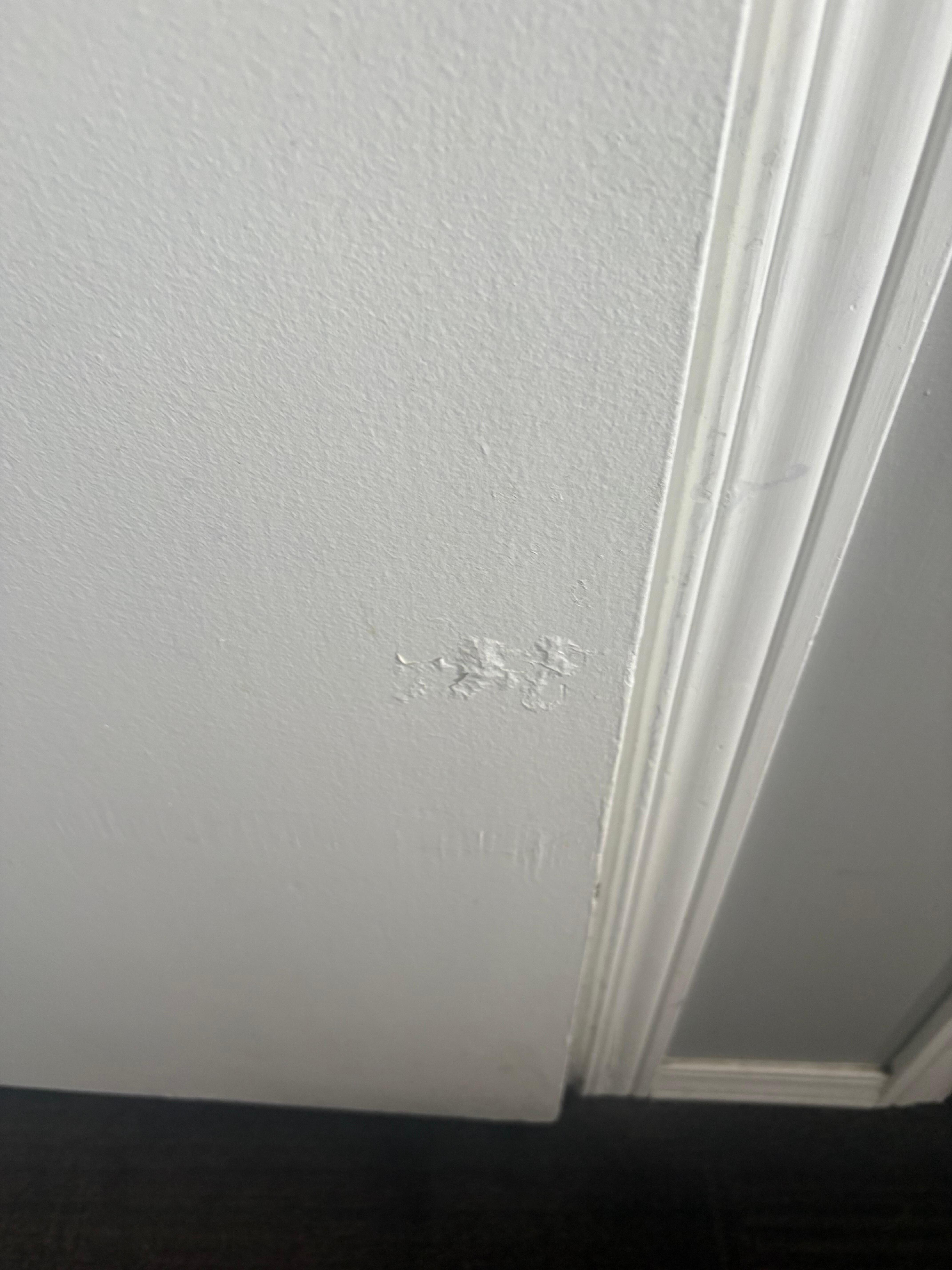 Paint starting to peel