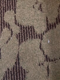 Toe nail clippings on floor
