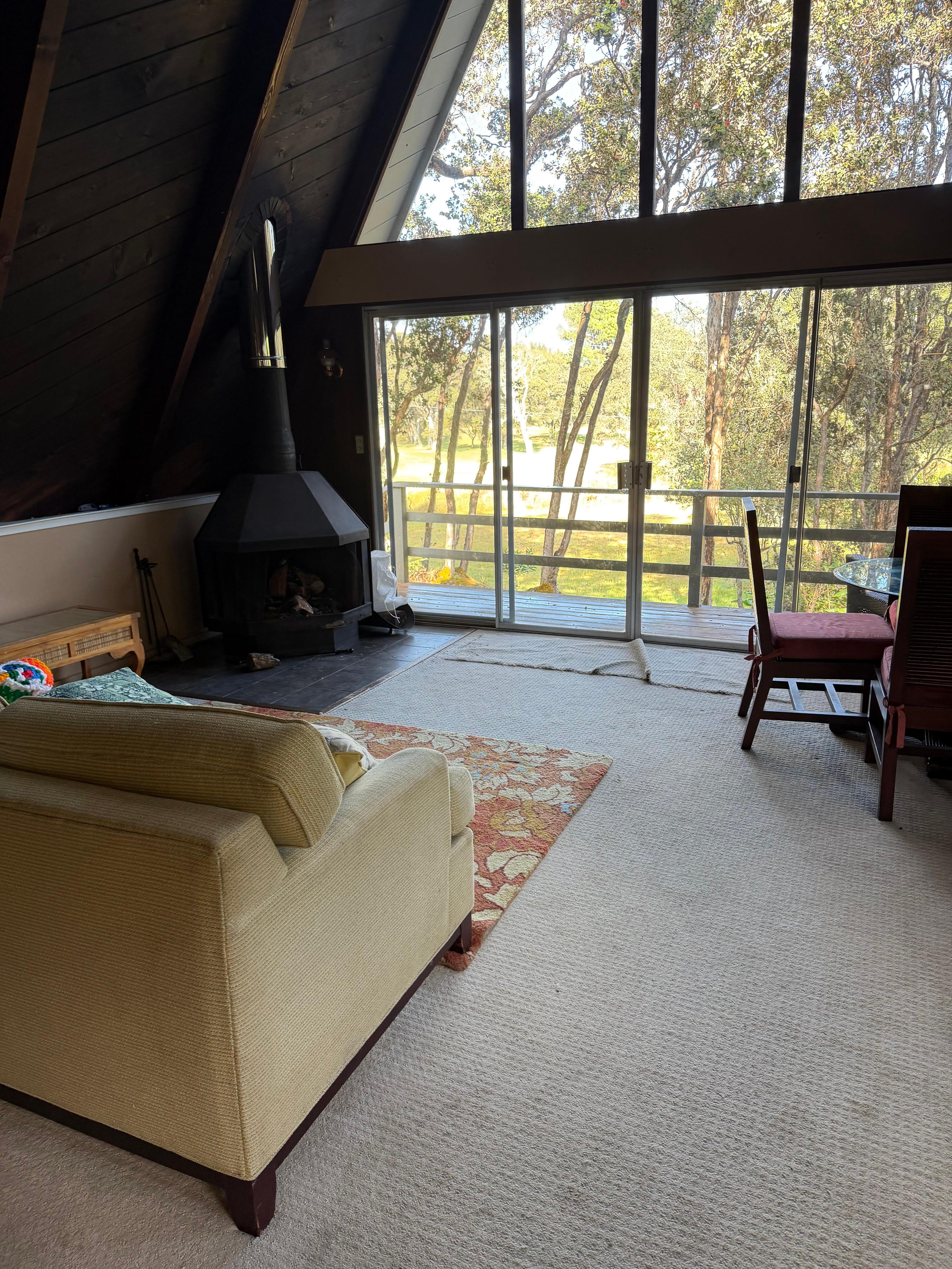 Bedroom that’s the living room with a pullout couch, not a queen bed