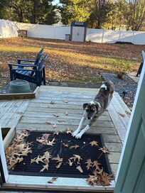 She loved the backyard.