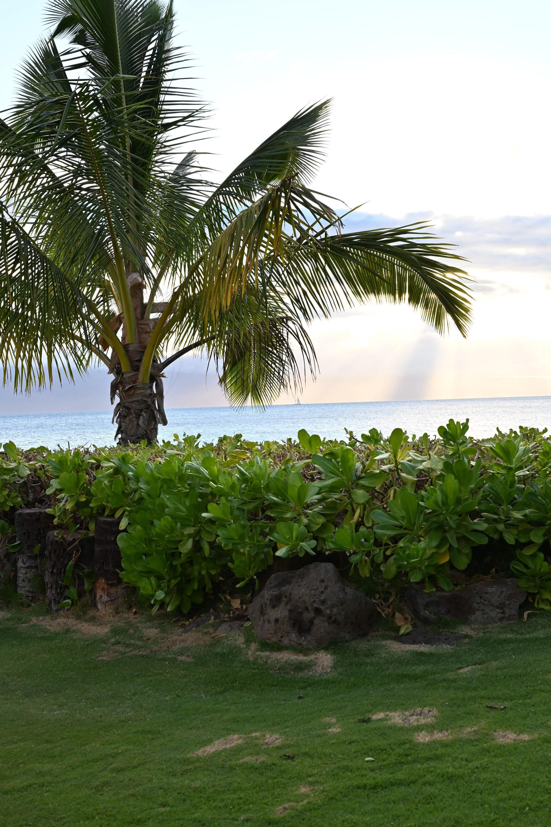 The view of the ocean from the Castaway Cafe.