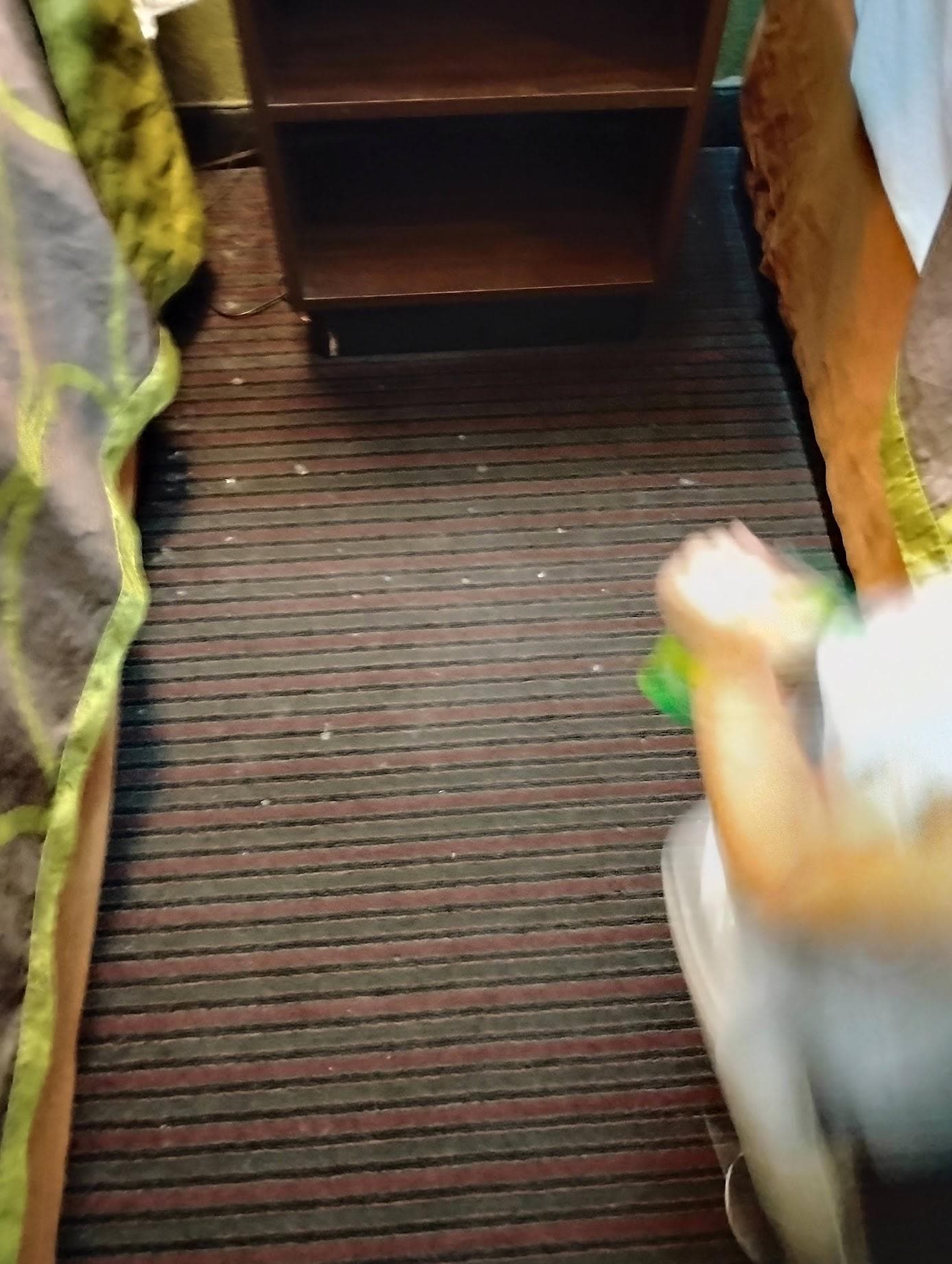 dirty carpet on and off in the entire room. 
