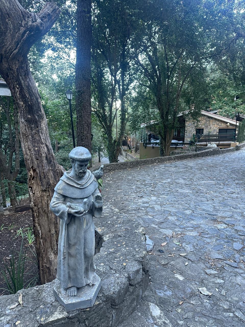 hermosa naturaleza y paz 