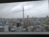 Great view of the city and sky tree.