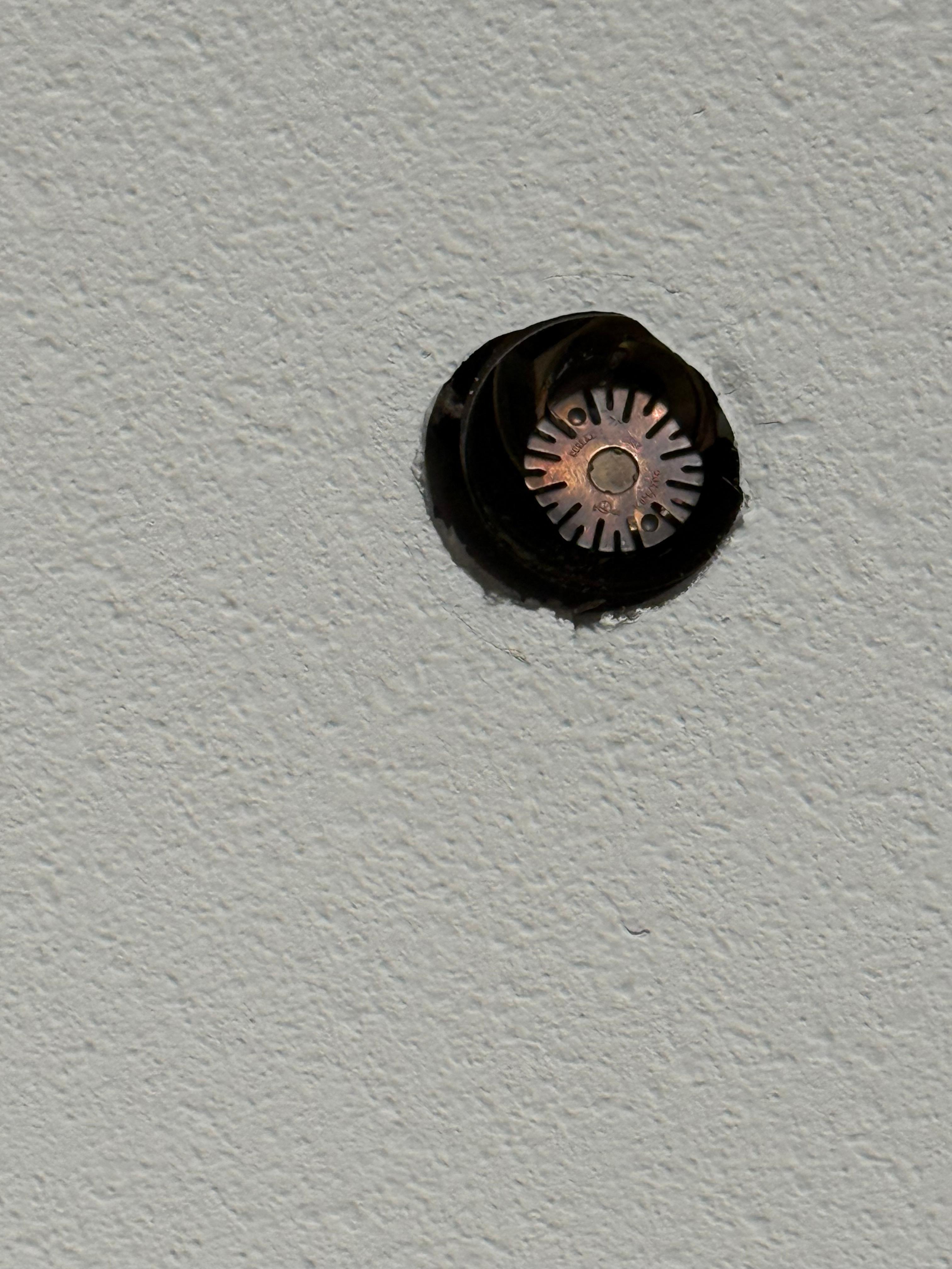 Hole in ceiling where sprinkler comes out. There’s supposed to be a cover, but this one didn’t have it. 