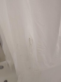 Black mold