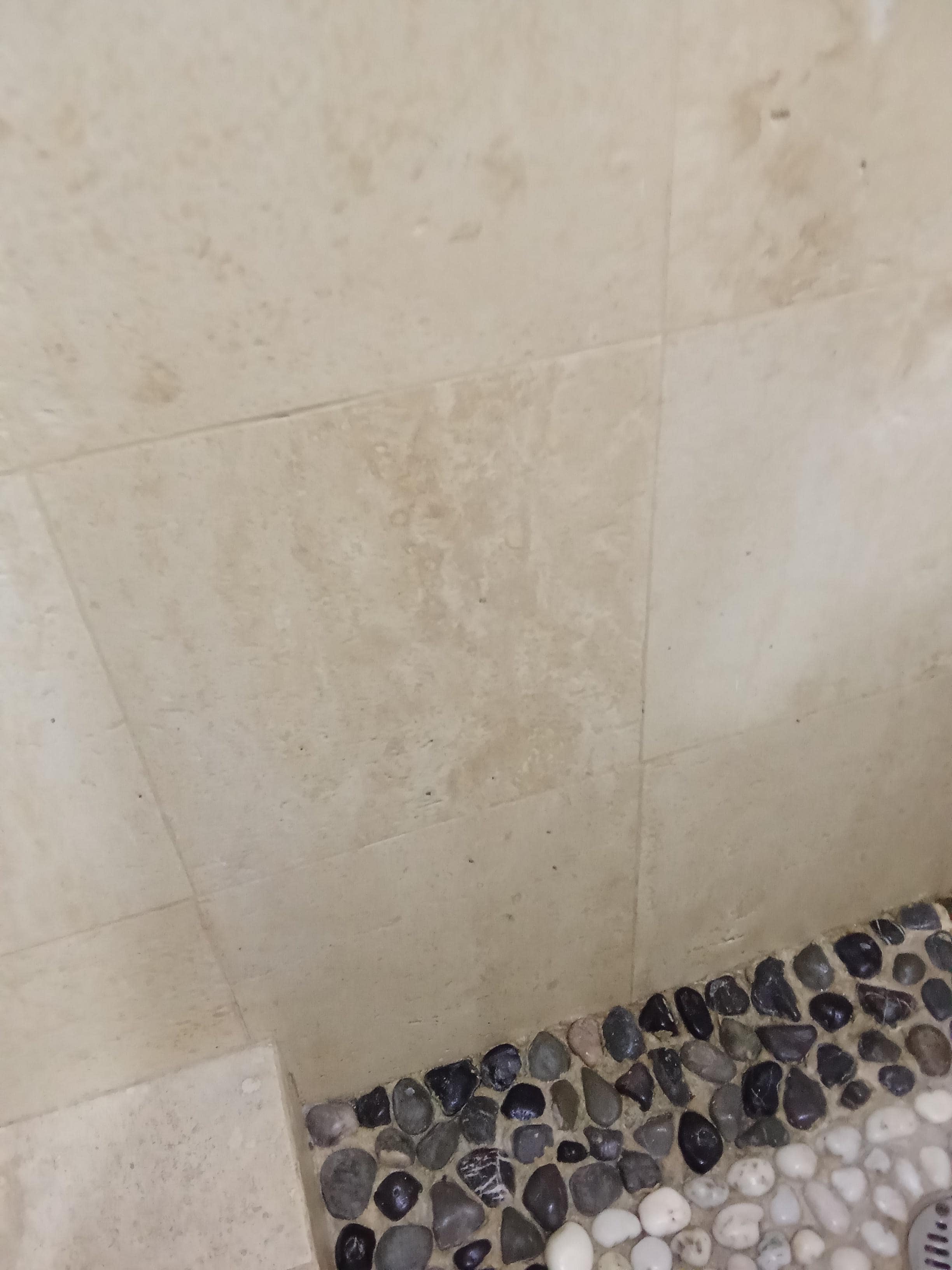 Deteriorating walls dirty spots an Humidity 