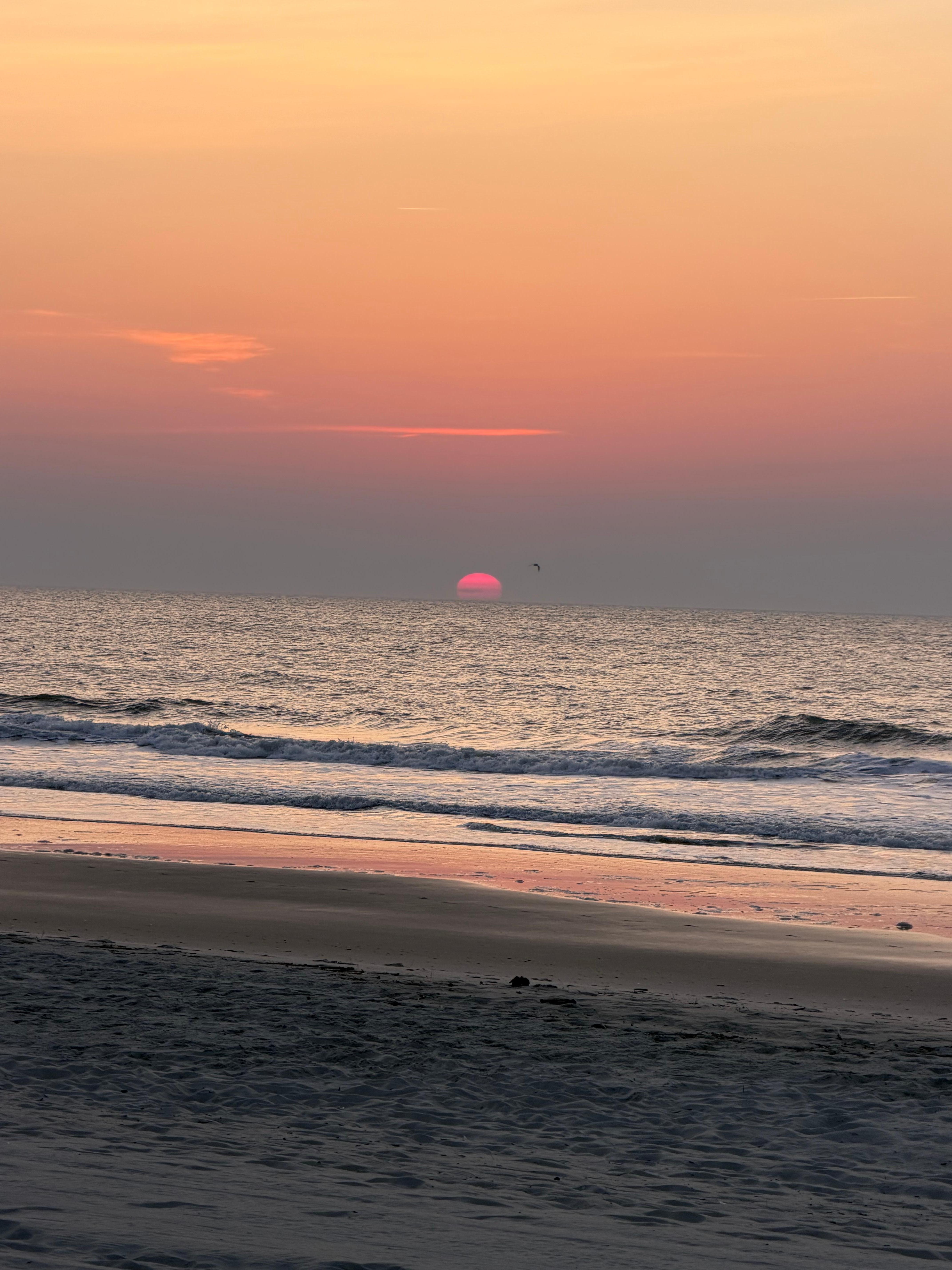 Sunrise
View from the Deck. 