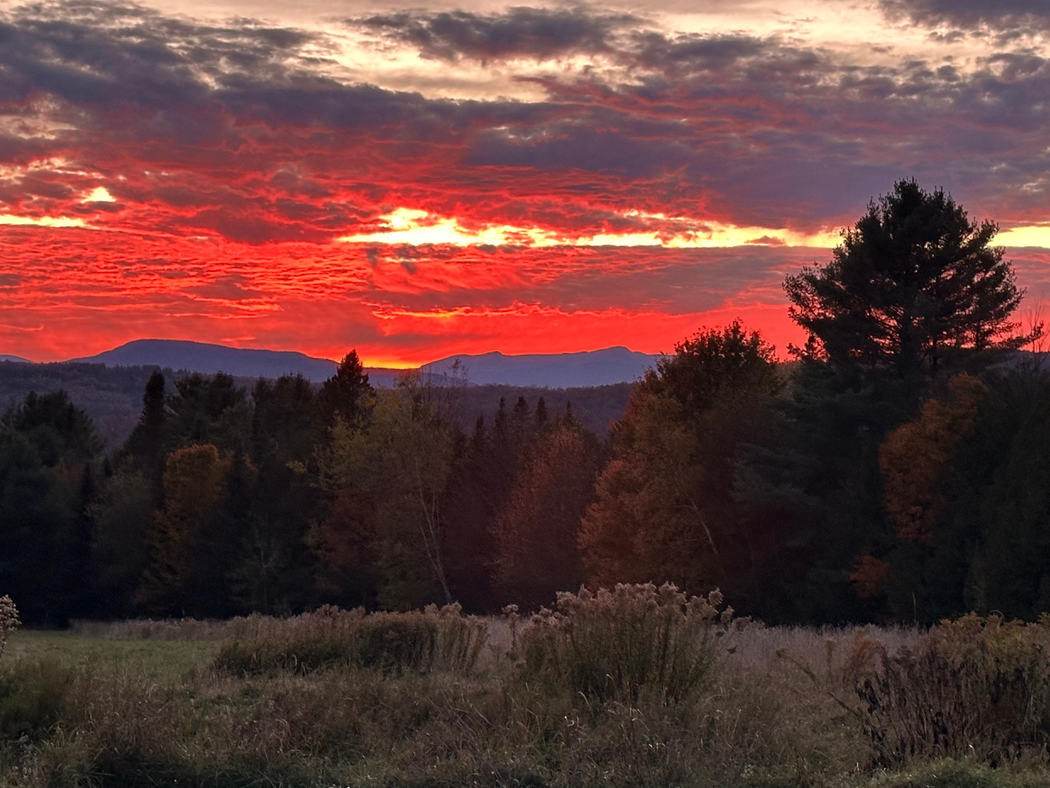 Beautiful view every evening!