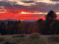 Beautiful view every evening!