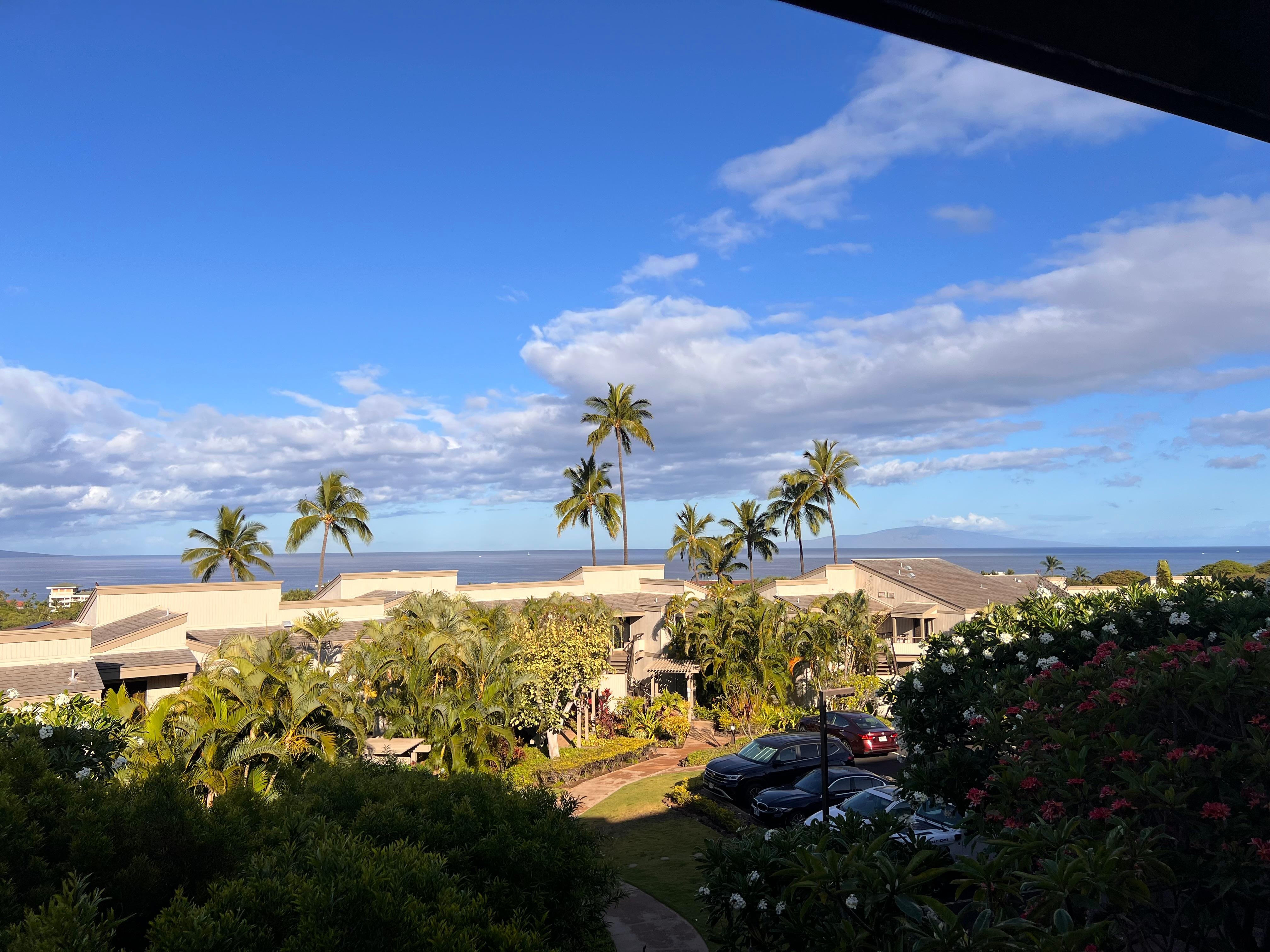 Lovely morning view while having coffee on the lanai. 
